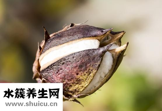 脱脂纯牛奶