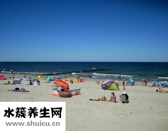 芝麻可促进血液循环降低胆固醇降血糖