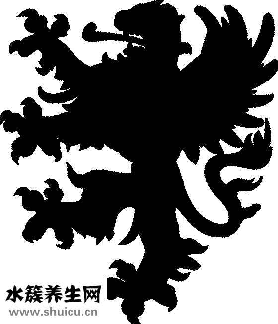 舌头有裂痕