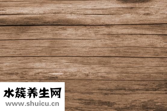 舌头有裂痕