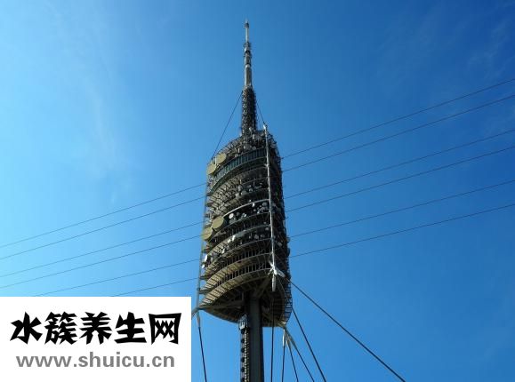 仰卧是什么姿势