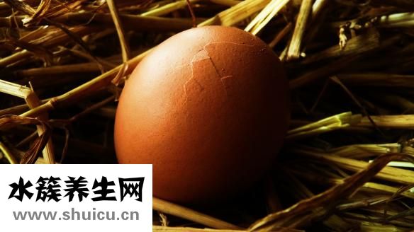 胃病可以吃鸡蛋吗