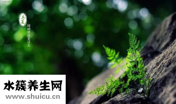 腿部按摩手法