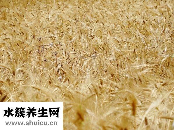 怎么变大变粗