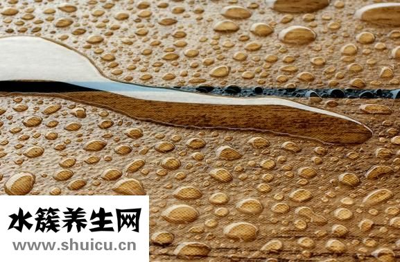 笋的做法大全家常
