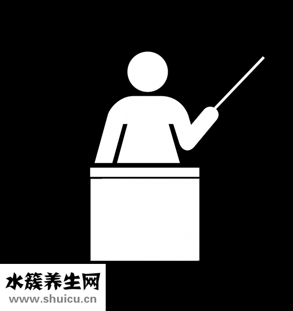 孕妇能吃杨梅吗