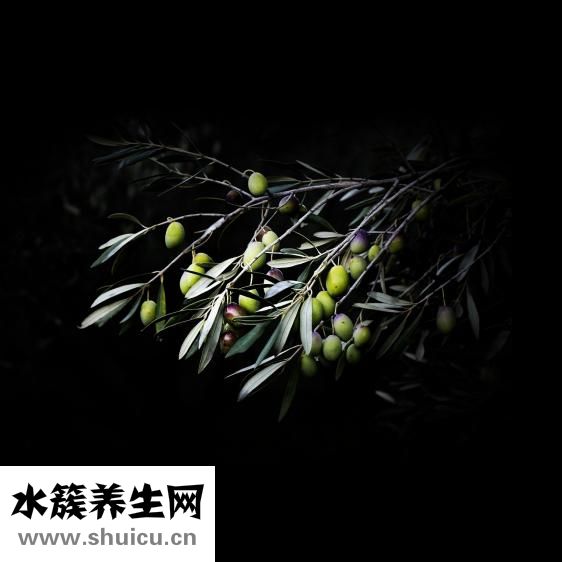 食醋的作用与功效