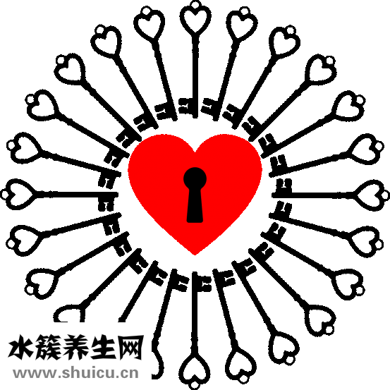 牙齿的结构图