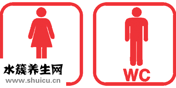 怀孕能吃蒜吗