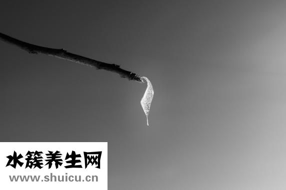 油渍怎么洗干净