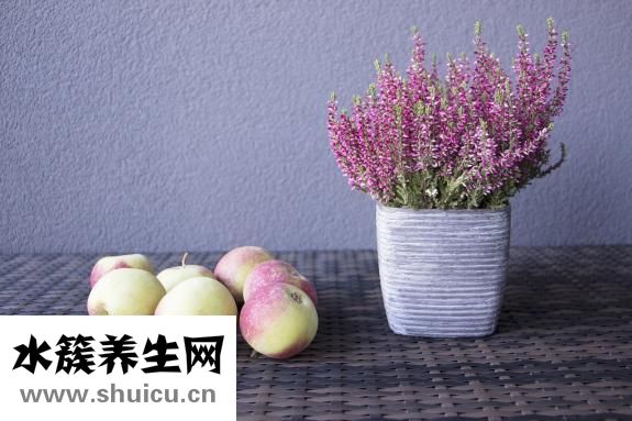 特别容易饿