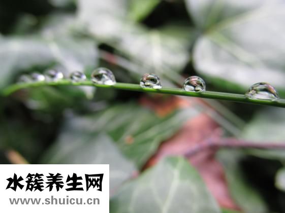 女生唇毛可以刮吗