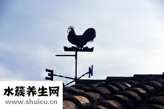 香菇要煮多久才能熟