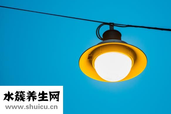 燕窝一斤的价格