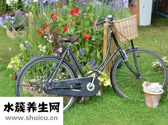 空中蹬自行车