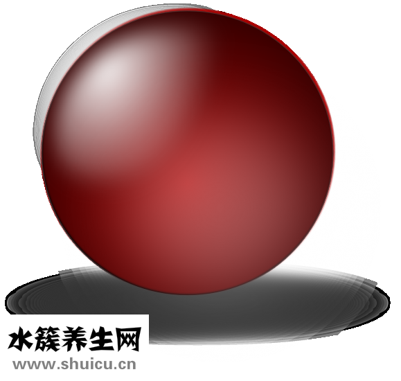 鱼疗是什么鱼