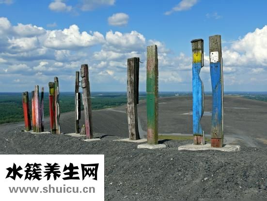 香榧多少钱一斤