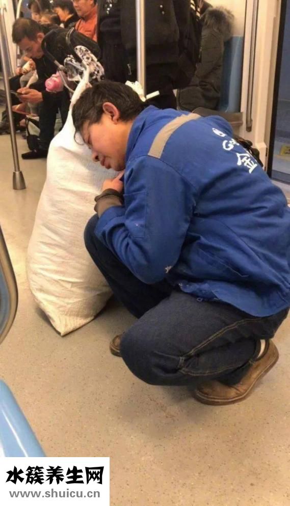 越婢汤组成