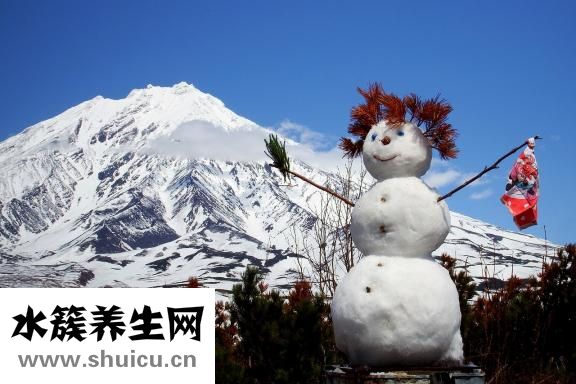 雪燕和燕窝的区别