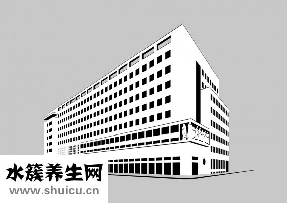 牙齿的结构图