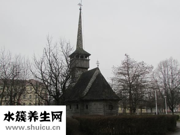 特拉唑嗪片