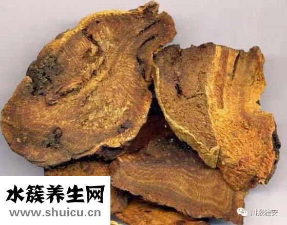 通便的中药