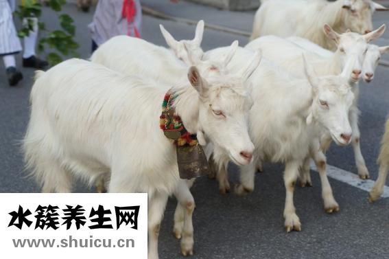 核酸的基本单位