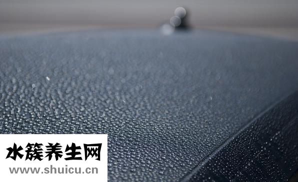 鱼疗是什么鱼