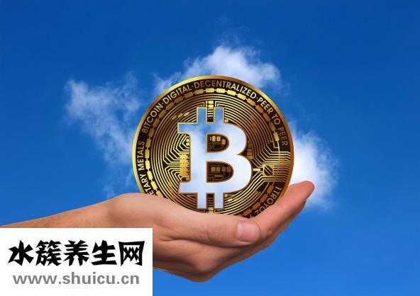 香椽多少钱一斤？一般情况下能够开展不同地区标价