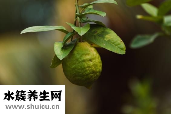 西芹炒鸡蛋