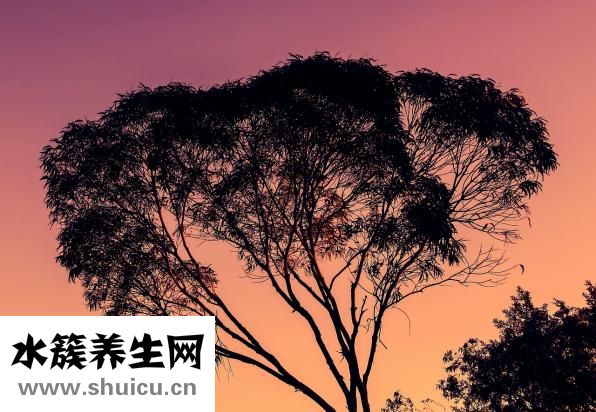 香薰怎么用