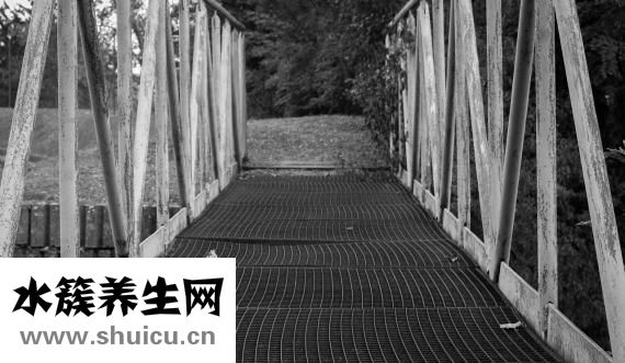 胎菊能天天喝吗