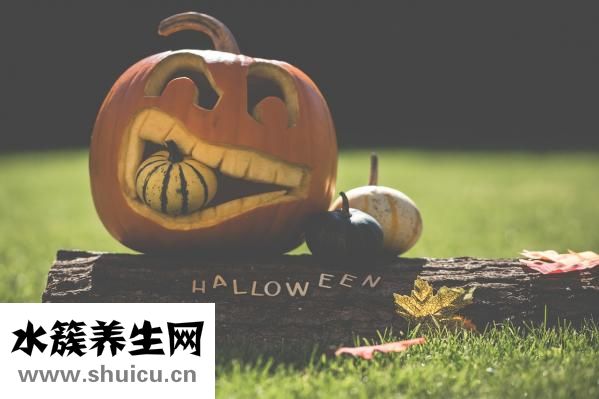 燕窝炖多久