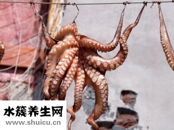 铁板鱿鱼须