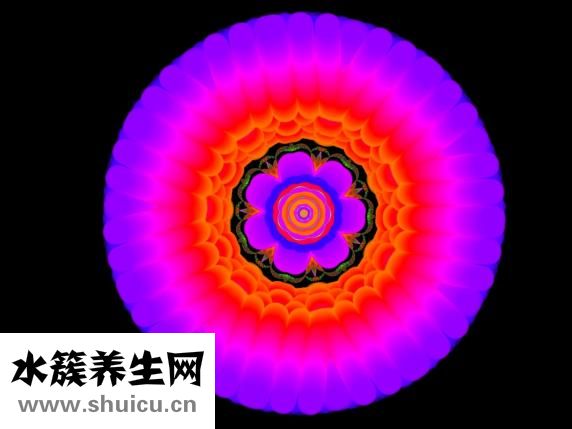 食物热量排行榜