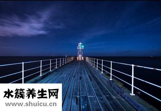 肾不好吃什么
