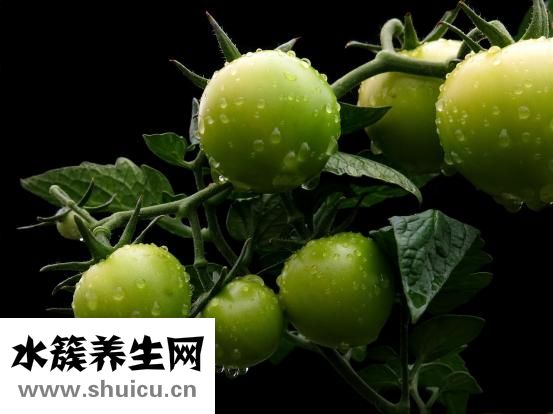生菜能生吃吗