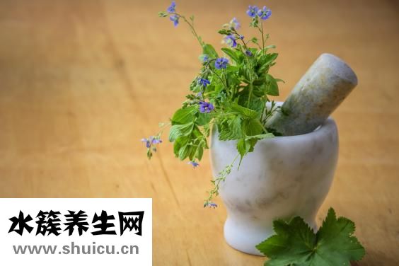 素菜有哪些