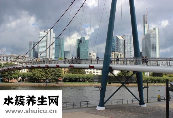 有髓神经纤维