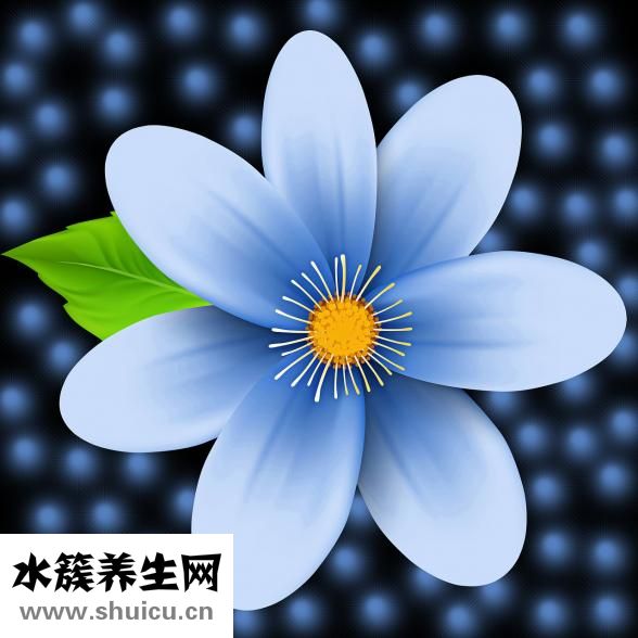 阳起石的功效与作用