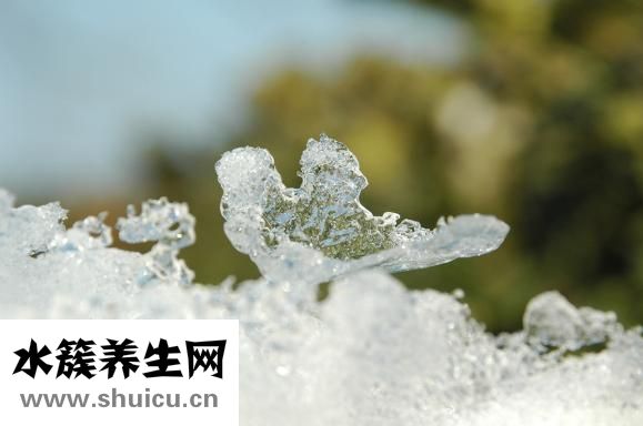 相近老女人专业知识介绍助你延迟衰老