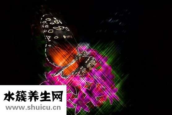 牙齿美白仪
