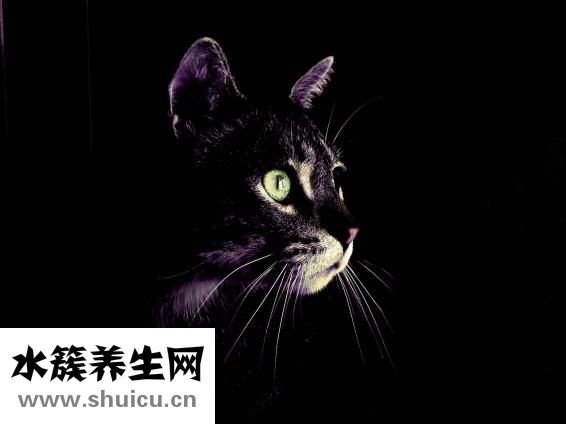 隐形眼镜的正反面