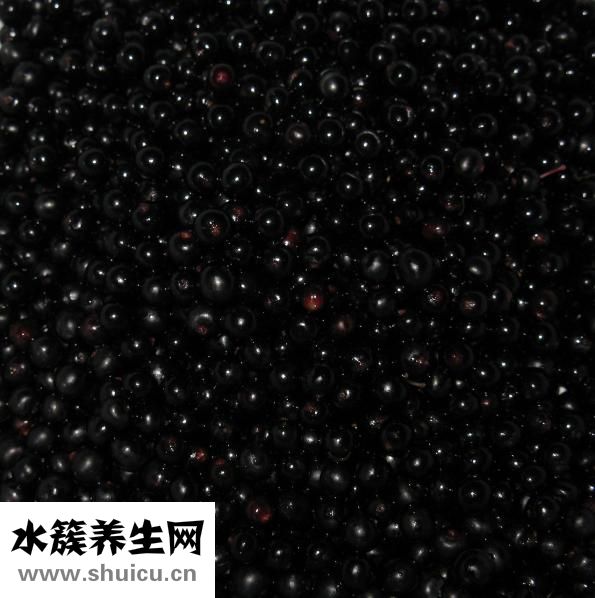 西米露的功效和作用