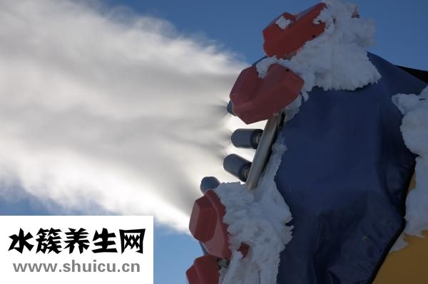 系统狼疮治疗