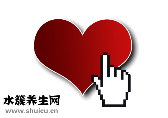 溏心蛋怎么煮