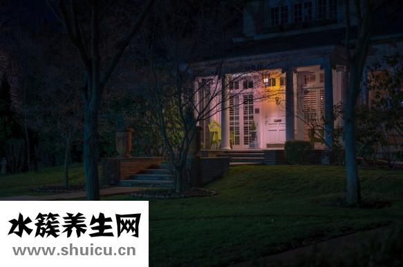 小茴香的作用与功效