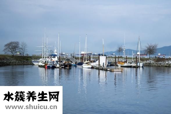 楮实子的别名