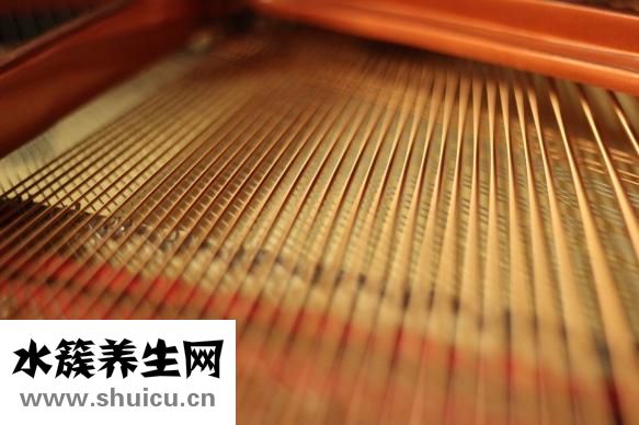 牙齿美白仪