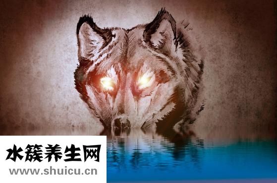 系统狼疮治疗如何？一般人不能随意选择